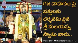 Sixth Day Of Tirumala Salakatla Brahmotsavam 2023 Gaja Vahanam