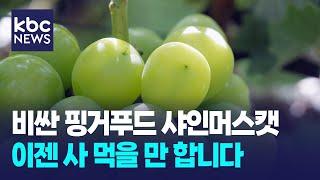 비싼 핑거푸드 샤인머스캣..이젠 사 먹을만 합니다 / KBC뉴스