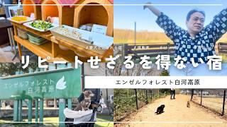 【犬連れ旅行福島宿】エンゼルフォレスト白河高原で過ごす休日!レイクサイドヴィラの魅力を徹底紹介 1泊2日わんこ旅2025.4