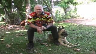 Animal Line - BioAktiv CQ Testimonal - Ross Allan Dog Trainer - Part 1