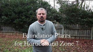 Great Low Maintenance Foundation Plants for Horticultural Zone 7. Part 1