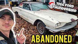 I Found an Abandoned Thunderbird & Detailed It - Can It Be Saved?