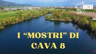 I "MOSTRI" DI CAVA 8 - Carpfishing tra gli erbai