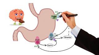 Pharmacology - GASTROINTESTINAL AND ANTIEMETIC DRUGS (MADE EASY)