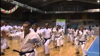 Sensei Masao Kagawa karate kata sochin jks Part 1 2012 Ali Suri Al-Lami