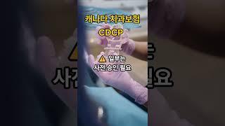 캐나다 치과 치료도 무료?! CDCP 완전 요약 | 캐네디언 덴탈 케어 플랜 | 캐나다 치과보