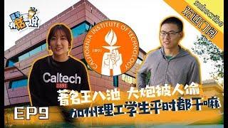 【留学在加州】在加州理工赏龟/坐滑梯上学/防火防盗防大炮被偷/盘点加州理工的怪咖们的奇怪日常Walk with me to Caltech