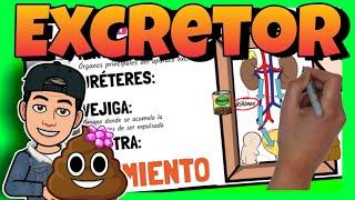  El APARATO EXCRETOR para NIÑOS de PRIMARIA