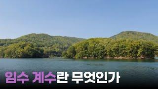 (WALK) 임수일간 계수일간 특징 직업 적성 기질 연애 배우자 궁합 | 임수 계수란 무엇인가 | 10천간 십천간