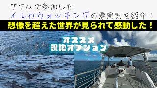 グアムのイルカウォッチングツアーが最高でした！かなりオススメの現地オプショナルツアーです！