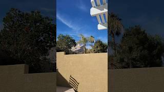 Winter In Las Vegas Can't Tell From Trees