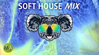 Upbeat Study Music Soft House (Koala Mix) - Peak Focus Beta Isochronic Tones