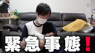 【生後2ヶ月】緊急事態が起きました。急なワンオペ！赤ちゃんと過ごす１日