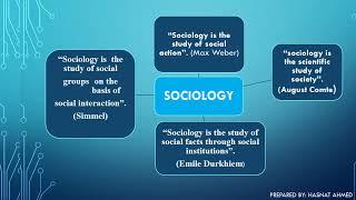 What is Sociology