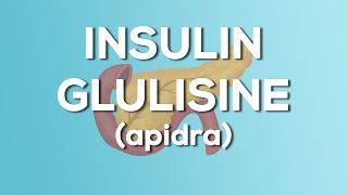 Insulin Glulisine (Apidra) Nursing Drug Card (Simplified) - Pharmacology