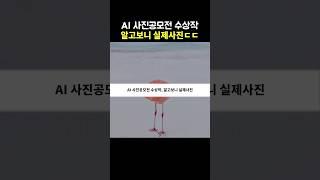 AI 사진공모전 수장작, 알고보니 실제사진ㄷㄷ