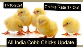 17 Oct. Chicks Rate + Today All India Update