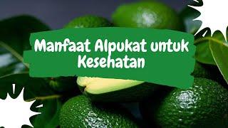 Manfaat Alpukat untuk Kesehatan  - Obat alami