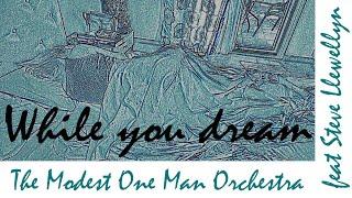 WHILE YOU DREAM - The Modest One Man Orchestra feat. Steve Llewellyn