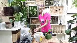 和林花店 - 歡迎行家合作!