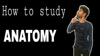 How to Study Anatomy ? | The Charsi of Medical Literature