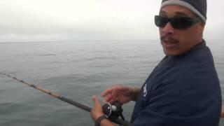 Reel Anglers - Tackle tip