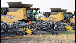 Yancie Farms Harvest: A New Holland Story