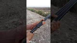 made in Pakistan 12bore gun review #12bore #gun #hunting #shotgun