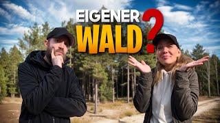 20.000m² Wald für Bushcraft nur 150€?! Aber wo ist der Haken?