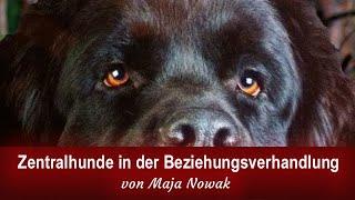 Zentralhunde (und weitere Typen) bei der Beziehungsverhandlung und Grenzsetzung (kommentiert)