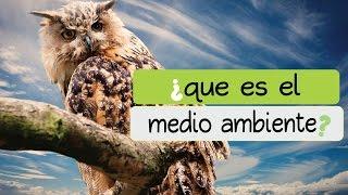 ¿qué es el medioambiente o medio ambiente?  #EcoSaberes