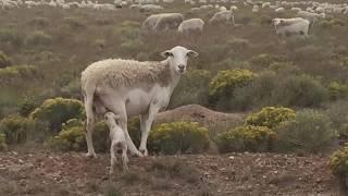 Living Off Grid in Costilla County Southern Colorado - My road trip in search of land