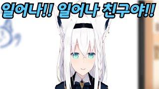 시청자를 깨우는 후부키【홀로라이브/시라카미 후부키】