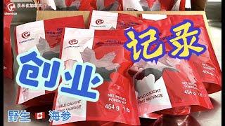 在加拿大创业开海参工厂的故事