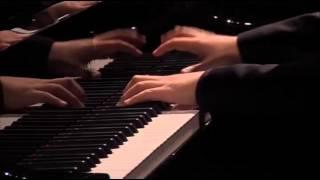 F. Liszt Paganini Etudes - Jin Uk Kim, piano