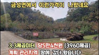 483)금성면 에서  제일싼땅  당5만4천원  .게획관리지역으로 국유지도로 폭 약 5미터차량교행이 되는 도로입니다. 상수도 .전기인입가능하며 건축40%가능합니다;#의성땅매매#싼땅