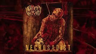 AUTOPSY NIGHT - Necrosadist (2024) Soundage Productions - full album