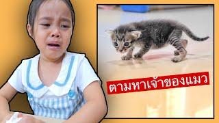 เลี้ยงแมวจนหลงรัก สุดท้ายมีคนมาเอาไป | บริ้งค์ไบรท์เสียใจมากๆ