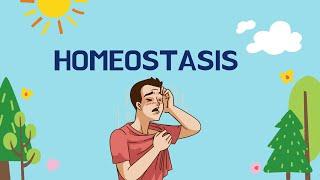 What is Homeostasis in Biology?