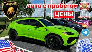 #681 Цены в США на автомобили с пробегом, автосалон Lamborghini