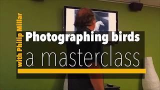 Bird Photography: a masterclass with Philip Millar