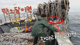 목수에서 어부로 전 향후 200원짜리 물고기로 억 소리 나게 버는 어부 이야기!?인생역전!