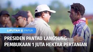 Presiden Pantau Langsung Pembukaan Lahan Pertanian Seluas 1 Juta Hektar | Liputan 6 Papua