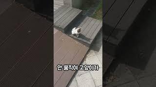 인정