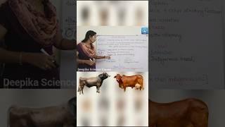 Breeding #breeding #animalbreeding #class10science #deepikasciencecorner