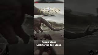 Master Ранрок in Hogwarts Legacy Without Getting Stuck #hogwartslegacy #gaming #games