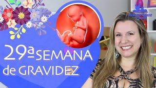 29ª SEMANA DE GESTAÇÃO | 7 Meses, Sinais de Parto Prematuro, Gêmeos | 3º TRIMESTRE DE GRAVIDEZ