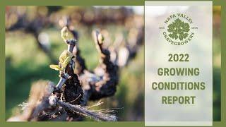 Napa Valley Grapegrowers 2022 Growing Conditions Report