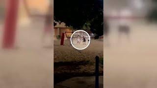 WATCH: Video of fight that ended with fatal shooting on University of Arizona campus