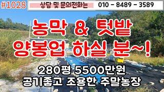 #1028농막과 텃밭 양봉업하실분 추천/ 280평 5500만원/ 마을과 떨어져 조용하고 간섭없는곳/취사와 숙식가능한 현대식 농막/욕실/#영천주택#영천땅   010-8489-3589